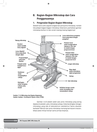 222 IPA Terpadu SMP/MTs Kelas VII222
B. Bagian-Bagian Mikroskop dan Cara
Penggunaannya
1. Pengenalan Bagian-Bagian Mikroskop
Setelah kamu tahu sejarah singkat dan jenis-jenis mikroskop, marilah
kita pelajari bagian-bagian mikroskop. Coba kamu perhatikan gambar
mikroskop berikut ini dan amati masing-masing bagiannya!
Gambar 11.8 Mikroskop dan Bagian-Bagiannya
Sumber Gambar: Ensiklopedi Populer Anak (1998)
Gambar 11.8 adalah salah satu jenis mikroskop yang sering
dipakai di sekolah, yaitu mikroskop cahaya. Coba bandingkan dengan
mikroskop yang ada di laboratorium sekolahmu! Sama ataukah
berbeda? Bentuk dan jenis mikroskop memang bermacam-macam,
tetapi pada intinya hampir sama prinsip kerjanya.
Tabung mikroskop
Revolver
untuk memilih
lensa objektif
Lensa Objektif
lensa yang dekat
dengan objek
Preparat/objek
yang akan
diamati
Penjepit untuk
menjepit kaca
objek
Kondensor
untuk
mengumpilkan
cahaya
Diafragma
untuk mengatur
cahaya yang
masuk
Pemutar kasar
untuk menggerakkan
tabung ke atas dan
ke bawah dengan
pergeseran besar
Pemutar halus
untuk menggerakkan
tabung ke atas dan
ke bawah dengan
pergeseran kecil
Lengan mikroskop
Meja objek
untuk meletakkan
objek pengamatan
Sekrup
Kaki mikroskop
Lensa okuler/lensa pengintai
lensa yang dekat dengan
pengamat
Reflektor berupa cermin
untuk menangkap dan
memantulkan cahaya
012 bab 11.indd 222 7/18/2008 7:37:00 PM
 
