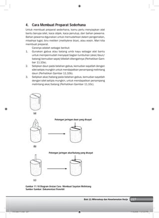 227Bab 11 Mikroskop dan Keselamatan Kerja 227
4. Cara Membuat Preparat Sederhana
Untuk membuat preparat sederhana, kamu perlu menyiapkan alat
bantu berupa silet, kaca objek, kaca penutup, dan bahan pewarna.
Bahan pewarna digunakan untuk memudahkan dalam pengamatan,
misalnya lugol, biru metilen (methylene blue), atau eosin. Mari kita
membuat preparat.
Caranya adalah sebagai berikut:
1. Gunakan gabus atau batang umbi kayu sebagai alat bantu
untuk mempermudah menyayat bagian tumbuhan (akar/daun/
batang) kemudian sayat/dibelah ditengahnya (Perhatikan Gam-
bar 11.10a).
2. Selipkan daun pada belahan gabus, kemudian sayatlah dengan
silet setipis mungkin untuk mendapatkan penampang melintang
daun (Perhatikan Gambar 11.10b).
3. Selipkan akar/batang pada belahan gabus, kemudian sayatlah
dengan silet setipis mungkin, untuk mendapatkan penampang
melintang akar/batang (Perhatikan Gambar 11.10c).
Gambar 11.10 Diagram Urutan Cara Membuat Sayatan Melintang
Sumber Gambar: Dokumentasi Penerbit
Potongan jaringan daun yang disayat
Potongan jaringan akar/batang yang disayat
(a)
(b)
(c)
012 bab 11.indd 227 7/18/2008 7:37:03 PM
 
