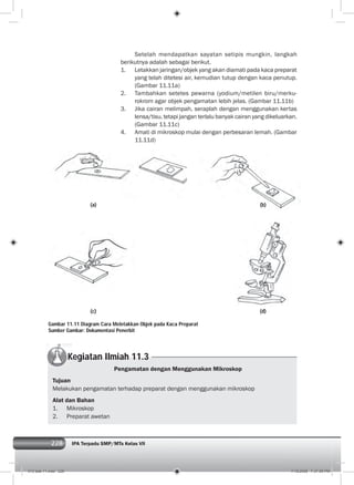 228 IPA Terpadu SMP/MTs Kelas VII228
Setelah mendapatkan sayatan setipis mungkin, langkah
berikutnya adalah sebagai berikut.
1. Letakkan jaringan/objek yang akan diamati pada kaca preparat
yang telah ditetesi air, kemudian tutup dengan kaca penutup.
(Gambar 11.11a)
2. Tambahkan setetes pewarna (yodium/metilen biru/merku-
rokrom agar objek pengamatan lebih jelas. (Gambar 11.11b)
3. Jika cairan melimpah, seraplah dengan menggunakan kertas
lensa/tisu, tetapi jangan terlalu banyak cairan yang dikeluarkan.
(Gambar 11.11c)
4. Amati di mikroskop mulai dengan perbesaran lemah. (Gambar
11.11d)
Pengamatan dengan Menggunakan Mikroskop
Tujuan
Melakukan pengamatan terhadap preparat dengan menggunakan mikroskop
Alat dan Bahan
1. Mikroskop
2. Preparat awetan
Gambar 11.11 Diagram Cara Meletakkan Objek pada Kaca Preparat
Sumber Gambar: Dokumentasi Penerbit
Kegiatan Ilmiah 11.3
(b)(a)
(d)(c)
012 bab 11.indd 228 7/18/2008 7:37:05 PM
 