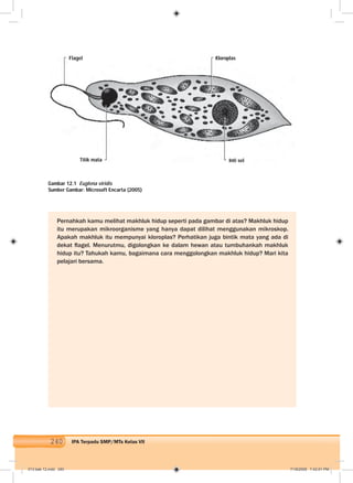 240 IPA Terpadu SMP/MTs Kelas VII
Flagel Kloroplas
Inti sel
Pernahkah kamu melihat makhluk hidup seperti pada gambar di atas? Makhluk hidup
itu merupakan mikroorganisme yang hanya dapat dilihat menggunakan mikroskop.
Apakah makhluk itu mempunyai kloroplas? Perhatikan juga bintik mata yang ada di
dekat ﬂagel. Menurutmu, digolongkan ke dalam hewan atau tumbuhankah makhluk
hidup itu? Tahukah kamu, bagaimana cara menggolongkan makhluk hidup? Mari kita
pelajari bersama.
Gambar 12.1 Euglena viridis
Sumber Gambar: Microsoft Encarta (2005)
Titik mata
013 bab 12.indd 240 7/18/2008 7:42:01 PM
 