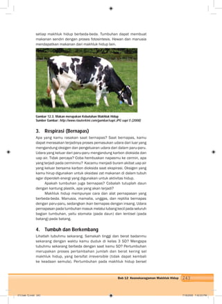 243Bab 12 Keanekaragaman Makhluk Hidup
setiap makhluk hidup berbeda-beda. Tumbuhan dapat membuat
makanan sendiri dengan proses fotosintesis. Hewan dan manusia
mendapatkan makanan dari makhluk hidup lain.
3. Respirasi (Bernapas)
Apa yang kamu rasakan saat bernapas? Saat bernapas, kamu
dapat merasakan terjadinya proses pemasukan udara dari luar yang
mengandung oksigen dan pengeluaran udara dari dalam paru-paru.
Udara yang keluar dari paru-paru mengandung karbon dioksida dan
uap air. Tidak percaya? Coba hembuskan napasmu ke cermin, apa
yang terjadi pada cerminmu? Kacamu menjadi buram akibat uap air
yang keluar bersama karbon dioksida saat ekspirasi. Oksigen yang
kamu hirup digunakan untuk oksidasi zat makanan di dalam tubuh
agar diperoleh energi yang digunakan untuk aktivitas hidup.
Apakah tumbuhan juga bernapas? Cobalah tutuplah daun
dengan kantung plastik, apa yang akan terjadi?
Makhluk hidup mempunyai cara dan alat pernapasan yang
berbeda-beda. Manusia, mamalia, unggas, dan reptilia bernapas
dengan paru-paru, sedangkan ikan bernapas dengan insang. Udara
pernapasan pada tumbuhan masuk melalui lubang kecil pada seluruh
bagian tumbuhan, yaitu stomata (pada daun) dan lentisel (pada
batang) pada batang.
4. Tumbuh dan Berkembang
Lihatlah tubuhmu sekarang. Samakah tinggi dan berat badanmu
sekarang dengan waktu kamu duduk di kelas 3 SD? Mengapa
tubuhmu sekarang berbeda dengan saat kamu SD? Pertumbuhan
merupakan proses pertambahan jumlah dan berat kering sel
makhluk hidup, yang bersifat irreversible (tidak dapat kembali
ke keadaan semula). Pertumbuhan pada makhluk hidup bersel
Gambar 12.3. Makan merupakan Kebutuhan Makhluk Hidup
Sumber Gambar: http://www.riauterkini.com/gambar/sapi.JPG sapi 5 (2008)
013 bab 12.indd 243 7/18/2008 7:42:03 PM
 