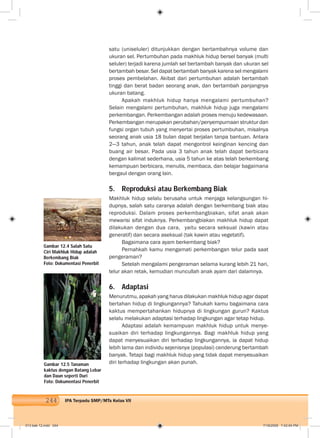 244 IPA Terpadu SMP/MTs Kelas VII
satu (uniseluler) ditunjukkan dengan bertambahnya volume dan
ukuran sel. Pertumbuhan pada makhluk hidup bersel banyak (multi
seluler) terjadi karena jumlah sel bertambah banyak dan ukuran sel
bertambah besar. Sel dapat bertambah banyak karena sel mengalami
proses pembelahan. Akibat dari pertumbuhan adalah bertambah
tinggi dan berat badan seorang anak, dan bertambah panjangnya
ukuran batang.
Apakah makhluk hidup hanya mengalami pertumbuhan?
Selain mengalami pertumbuhan, makhluk hidup juga mengalami
perkembangan. Perkembangan adalah proses menuju kedewasaan.
Perkembangan merupakan perubahan/penyempurnaan struktur dan
fungsi organ tubuh yang menyertai proses pertumbuhan, misalnya
seorang anak usia 18 bulan dapat berjalan tanpa bantuan. Antara
2—3 tahun, anak telah dapat mengontrol keinginan kencing dan
buang air besar. Pada usia 3 tahun anak telah dapat berbicara
dengan kalimat sederhana, usia 5 tahun ke atas telah berkembang
kemampuan berbicara, menulis, membaca, dan belajar bagaimana
bergaul dengan orang lain.
5. Reproduksi atau Berkembang Biak
Makhluk hidup selalu berusaha untuk menjaga kelangsungan hi-
dupnya, salah satu caranya adalah dengan berkembang biak atau
reproduksi. Dalam proses perkembangbiakan, sifat anak akan
mewarisi sifat induknya. Perkembangbiakan makhluk hidup dapat
dilakukan dengan dua cara, yaitu secara seksual (kawin atau
generatif) dan secara aseksual (tak kawin atau vegetatif).
Bagaimana cara ayam berkembang biak?
Pernahkah kamu mengamati perkembangan telur pada saat
pengeraman?
Setelah mengalami pengeraman selama kurang lebih 21 hari,
telur akan retak, kemudian muncullah anak ayam dari dalamnya.
6. Adaptasi
Menurutmu, apakah yang harus dilakukan makhluk hidup agar dapat
bertahan hidup di lingkungannya? Tahukah kamu bagaimana cara
kaktus mempertahankan hidupnya di lingkungan gurun? Kaktus
selalu melakukan adaptasi terhadap lingkungan agar tetap hidup.
Adaptasi adalah kemampuan makhluk hidup untuk menye-
suaikan diri terhadap lingkungannya. Bagi makhluk hidup yang
dapat menyesuaikan diri terhadap lingkungannya, ia dapat hidup
lebih lama dan individu sejenisnya (populasi) cenderung bertambah
banyak. Tetapi bagi makhluk hidup yang tidak dapat menyesuaikan
diri terhadap lingkungan akan punah.
Gambar 12.4 Salah Satu
Ciri Makhluk Hidup adalah
Berkembang Biak
Foto: Dokumentasi Penerbit
Gambar 12.5 Tanaman
kaktus dengan Batang Lebar
dan Daun seperti Duri
Foto: Dokumentasi Penerbit
013 bab 12.indd 244 7/18/2008 7:42:04 PM
 