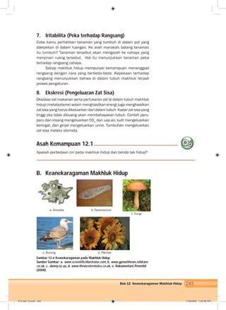 245Bab 12 Keanekaragaman Makhluk Hidup
7. Iritabilita (Peka terhadap Rangsang)
Coba kamu perhatikan tanaman yang tumbuh di dalam pot yang
diletakkan di dalam ruangan. Ke arah manakah batang tanaman
itu tumbuh? Tanaman tersebut akan mengarah ke cahaya yang
menyinari ruang tersebut. Hal itu menunjukkan tanaman peka
terhadap rangsang cahaya.
Setiap makhluk hidup mempunyai kemampuan menanggapi
rangsang dengan cara yang berbeda-beda. Kepekaan terhadap
rangsang menunjukkan bahwa di dalam tubuh makhluk terjadi
proses pengaturan.
8. Ekskresi (Pengeluaran Zat Sisa)
Oksidasi zat makanan serta pertukaran zat di dalam tubuh makhluk
hidup (metabolisme) selain menghasilkan energi juga menghasilkan
zat sisa yang harus dikeluarkan dari dalam tubuh. Kadar zat sisa yang
tinggi jika tidak dibuang akan membahayakan tubuh. Contoh paru-
paru dan insang mengeluarkan CO2
dan uap air, kulit mengeluarkan
keringat, dan ginjal mengeluarkan urine. Tumbuhan mengeluarkan
zat sisa melalui stomata.
Apakah perbedaan ciri pada makhluk hidup dan benda tak hidup?
B. Keanekaragaman Makhluk Hidup
Gambar 12.6 Keanekaragaman pada Makhluk Hidup
Sumber Gambar: a. www.scientificillustrator.com, b. www.gpmatthews.nildram.
co.uk, c. danny.oz.au, d. www.thewesternisles.co.uk, e. Dokumentasi Penerbit
(2008)
Asah Kemampuan 12.1
a. Amoeba b. Paramecium
c. Fungi
c. Burung d. Plantae
013 bab 12.indd 245 7/18/2008 7:42:08 PM
 