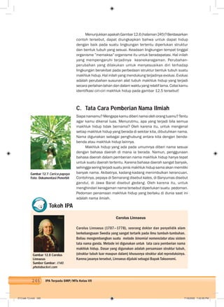 246 IPA Terpadu SMP/MTs Kelas VII
MenunjukkanapakahGambar12.6(halaman245)?Berdasarkan
contoh tersebut, dapat diungkapkan bahwa untuk dapat hidup
dengan baik pada suatu lingkungan tertentu diperlukan struktur
dan bentuk tubuh yang sesuai. Keadaan lingkungan tempat tinggal
organisme ”memaksa” organisme itu untuk beradapatasi. Hal inilah
yang mempengaruhi terjadinya keanekaragaman. Perubahan-
perubahan yang dilakukan untuk menyesuaikan diri terhadap
lingkungan berakibat pada perbedaan struktur bentuk tubuh suatu
makhluk hidup. Hal inilah yang mendukung terjadinya evolusi. Evolusi
adalah perubahan susunan alat tubuh makhluk hidup yang terjadi
secara perlahan-lahan dan dalam waktu yang relatif lama. Coba kamu
identifkasi ciri-ciri makhluk hidup pada gambar 12.5 tersebut!
C. Tata Cara Pemberian Nama Ilmiah
Siapa namamu? Mengapa kamu diberi nama oleh orang tuamu? Tentu
agar kamu dikenal luas. Menurutmu, apa yang terjadi bila semua
makhluk hidup tidak bernama? Oleh karena itu, untuk mengenal
setiap makhluk hidup yang berada di sekitar kita, dibutuhkan nama.
Nama digunakan sebagai penghubung antara kita dengan benda-
benda atau makhluk hidup lainnya.
Makhluk hidup yang ada pada umumnya diberi nama sesuai
dengan bahasa daerah di mana ia berada. Namun, penggunaan
bahasa daerah dalam pemberian nama makhluk hidup hanya tepat
untuk suatu daerah tertentu. Karena bahasa daerah sangat banyak,
sehingga sering terjadi suatu jenis makhluk hidup sama akan memiliki
banyak nama. Akibatnya, kadang-kadang menimbulkan kerancuan.
Contohnya, pepaya di Semarang disebut kates, di Banyumas disebut
gandul, di Jawa Barat disebut gedang. Oleh karena itu, untuk
menghindari keragaman nama tersebut diperlukan suatu pedoman.
Pedoman penamaan makhluk hidup yang berlaku di dunia saat ini
adalah nama ilmiah.
Gambar 12.7 Carica papaya
Foto: Dokumentasi Penerbit
Tokoh IPA
Gambar 12.8 Carolus
Linnaeus
Sumber Gambar: i140.
photobucket.com
Carolus Linnaeus
Carolus Linnaeus (1707—1778), seorang dokter dan penyelidik alam
berkebangsaan Swedia yang sangat tertarik pada ilmu tumbuh-tumbuhan.
Beliau mengembangkan suatu metode binomial nomenclatur atau sistem
tata nama ganda. Metode ini digunakan untuk tata cara pemberian nama
makhluk hidup. Dasar yang digunakan adalah persamaan struktur tubuh,
(struktur tubuh luar maupun dalam) khususnya struktur alat reproduksinya.
Karena jasanya tersebut, Linnaeus dijuluki sebagai Bapak Taksonomi.
013 bab 12.indd 246 7/18/2008 7:42:09 PM
 