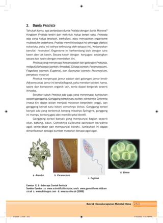 253Bab 12 Keanekaragaman Makhluk Hidup
2. Dunia Protista
Tahukah kamu, apa perbedaan dunia Protista dengan dunia Monera?
Kingdom Protista terdiri dari makhluk hidup bersel satu. Protosta
ada yang hidup terpisah, berkoloni, atau merupakan organisme
multiseluler sederhana. Protista memiliki selaput inti sehingga disebut
eukariota, yaitu inti selnya terlindung oleh selaput inti. Kebanyakan
bersifat heterotrof. Organisme ini berkembang biak dengan cara
kawin dan tak kawin. Secara kawin dengan konjugasi sedangkan
secara tak kawin dengan membelah diri.
Protista yang menyerupai hewan adalah dari golongan Protozoa,
meliputi Rizhopoda (contoh: Amoeba), Cilliata (contoh: Paramaecium),
Flagellata (contoh: Euglena), dan Sporozoa (contoh: Plasmodium,
penyebab malaria)
Protista menyerupai jamur adalah dari golongan jamur lendir
(Myxomycota), jamur ini bersifat fagosit, yaitu menelan bakteri, hama,
spora dan komponen organik lain, serta dapat bergerak seperti
Amoeba.
Struktur tubuh Protista ada juga yang menyerupai tumbuhan
adalah ganggang. Ganggang bersel satu soliter, contohnya Chlorella
(masa kini dapat diolah menjadi makanan berprotein tinggi), dan
ganggang bersel satu koloni contohnya Volvox. Ganggang bersel
banyak ada yang berbentuk benang misalnya Spirogyra, ganggang
ini mampu berkonjugasi dan memiliki pita kloroﬁl.
Ganggang bersel banyak yang mempunyai bagian seperti
akar, batang, daun. Contohnya Euceuma spinosum berwarna
agak kemerahan dan mempunyai klorofil. Tumbuhan ini dapat
dimanfaatkan sebagai sumber makanan berupa agar-agar.
Gambar 12.8 Beberapa Contoh Protista
Sumber Gambar : a. www.scientificillustrator.com b. www.gpmatthews.nildram.
co.uk c. www.dkimages.com d. www.eeslmu.de (2008)
a. Amoeba b. Paramecium
c. Euglena
d. Volvox
013 bab 12.indd 253 7/18/2008 7:42:14 PM
 