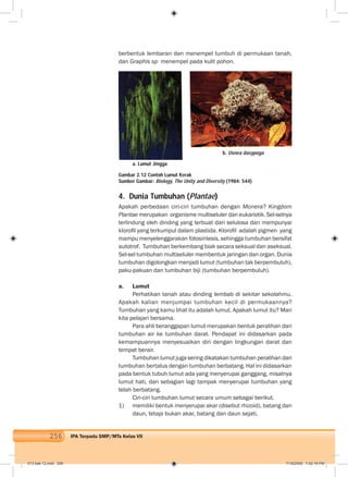 256 IPA Terpadu SMP/MTs Kelas VII
berbentuk lembaran dan menempel tumbuh di permukaan tanah,
dan Graphis sp menempel pada kulit pohon.
4. Dunia Tumbuhan (Plantae)
Apakah perbedaan ciri-ciri tumbuhan dengan Monera? Kingdom
Plantae merupakan organisme multiseluler dan eukariotik. Sel-selnya
terlindung oleh dinding yang terbuat dari selulosa dan mempunyai
kloroﬁl yang terkumpul dalam plastida. Kloroﬁl adalah pigmen yang
mampu menyelenggarakan fotosintesis, sehingga tumbuhan bersifat
autotrof. Tumbuhan berkembang biak secara seksual dan aseksual.
Sel-sel tumbuhan multiseluler membentuk jaringan dan organ. Dunia
tumbuhan digolongkan menjadi lumut (tumbuhan tak berpembuluh),
paku-pakuan dan tumbuhan biji (tumbuhan berpembuluh).
a. Lumut
Perhatikan tanah atau dinding lembab di sekitar sekolahmu.
Apakah kalian menjumpai tumbuhan kecil di permukaannya?
Tumbuhan yang kamu lihat itu adalah lumut. Apakah lumut itu? Mari
kita pelajari bersama.
Para ahli beranggapan lumut merupakan bentuk peralihan dari
tumbuhan air ke tumbuhan darat. Pendapat ini didasarkan pada
kemampuannya menyesuaikan diri dengan lingkungan darat dan
tempat berair.
Tumbuhan lumut juga sering dikatakan tumbuhan peralihan dari
tumbuhan bertalus dengan tumbuhan berbatang. Hal ini didasarkan
pada bentuk tubuh lumut ada yang menyerupai ganggang, misalnya
lumut hati, dan sebagian lagi tampak menyerupai tumbuhan yang
telah berbatang.
Ciri-ciri tumbuhan lumut secara umum sebagai berikut.
1) memiliki bentuk menyerupai akar (disebut rhizoid), batang dan
daun, tetapi bukan akar, batang dan daun sejati,
a. Lumut Jingga
b. Usnea dasypoga
Gambar 2.12 Contoh Lumut Kerak
Sumber Gambar: Biology, The Unity and Diversity (1984: 544)
013 bab 12.indd 256 7/18/2008 7:42:19 PM
 