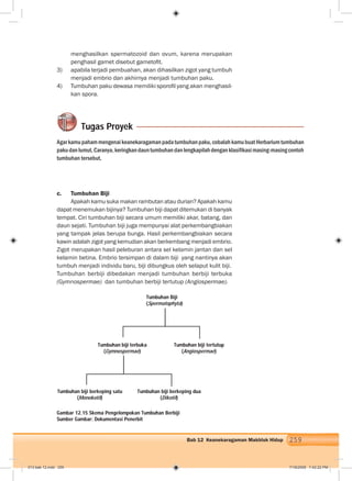 259Bab 12 Keanekaragaman Makhluk Hidup
menghasilkan spermatozoid dan ovum, karena merupakan
penghasil gamet disebut gametoﬁt.
3) apabila terjadi pembuahan, akan dihasilkan zigot yang tumbuh
menjadi embrio dan akhirnya menjadi tumbuhan paku.
4) Tumbuhan paku dewasa memiliki sporoﬁl yang akan menghasil-
kan spora.
Tugas Proyek
Agarkamupahammengenaikeanekaragamanpadatumbuhanpaku,cobalahkamubuatHerbariumtumbuhan
pakudanlumut.Caranya,keringkandauntumbuhandanlengkapilahdenganklasiﬁkasimasing-masingcontoh
tumbuhan tersebut.
c. Tumbuhan Biji
Apakah kamu suka makan rambutan atau durian? Apakah kamu
dapat menemukan bijinya? Tumbuhan biji dapat ditemukan di banyak
tempat. Ciri tumbuhan biji secara umum memiliki akar, batang, dan
daun sejati. Tumbuhan biji juga mempunyai alat perkembangbiakan
yang tampak jelas berupa bunga. Hasil perkembangbiakan secara
kawin adalah zigot yang kemudian akan berkembang menjadi embrio.
Zigot merupakan hasil peleburan antara sel kelamin jantan dan sel
kelamin betina. Embrio tersimpan di dalam biji yang nantinya akan
tumbuh menjadi individu baru, biji dibungkus oleh selaput kulit biji.
Tumbuhan berbiji dibedakan menjadi tumbuhan berbiji terbuka
(Gymnospermae) dan tumbuhan berbiji tertutup (Angiospermae).
Gambar 12.15 Skema Pengelompokan Tumbuhan Berbiji
Sumber Gambar: Dokumentasi Penerbit
Tumbuhan Biji
(Spermatophyta)
Tumbuhan biji terbuka
(Gymnospermae)
Tumbuhan biji tertutup
(Angiospermae)
Tumbuhan biji berkeping satu
(Monokotil)
Tumbuhan biji berkeping dua
(Dikotil)
013 bab 12.indd 259 7/18/2008 7:42:22 PM
 