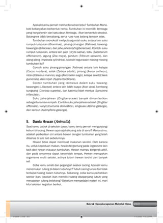 263Bab 12 Keanekaragaman Makhluk Hidup 263
Apakah kamu pernah melihat tanaman tebu? Tumbuhan Mono-
kotil kebanyakan berbentuk herba. Tumbuhan ini memiliki lembaga
yang hanya terdiri dari satu daun lembaga. Akar berbentuk serabut.
Batangnya tidak bercabang, serta ruas-ruas batang tampak jelas.
Tumbuhan monokotil meliputi sejumlah suku antara lain suku
rumput-rumputan (Graminae), pinang-pinangan (Palmae), bawang-
bawangan (Liliaceae), dan jahe-jahean (Zingiberaceae). Contoh suku
rumput-rumputan, antara lain padi (Oryza sativa), tebu (Saccharum
ofﬁcinarum), jagung (Zea mays), gandum (Triticum sativum), dan
alang-alang (Imperata cylindrica). Apakah kegunaaan masing-masing
tumbuhan itu?
Contoh suku pinang-pinangan (Palmae) antara lain kelapa
(Cocos nucifera), salak (Zalaca edulis), pinang (Areca cathecu),
rotan (Calamus manna), sagu (Metroxilon sago), kelapa sawit (Elaeis
guinensis), dan nipah (Nypha fructicans).
Contoh tumbuhan yang termasuk dalam suku bawang-
bawangan (Liliaceae) antara lain lidah buaya (Aloe vera), kembang
sungsang (Gloriosa superba), dan kasintu/lidah mertua (Sansivera
trifasciata).
Suku jahe-jahean (Zingiberaceae) banyak dimanfaatkan
sebagai tanaman rempah. Contoh suku jahe-jahean adalah (Zingiber
ofﬁcinale), kunyit (Curcuma domestica), lengkuas (Alpinia galanga),
dan kencur (Kaempferia galanga).
5. Dunia Hewan (Animalia)
Saat kamu duduk di sekolah dasar, kamu tentu pernah mengunjungi
kebun binatang. Hewan apa sajakah yang ada di sana? Menurutmu,
adakah perbedaan ciri antara hewan dengan tumbuhan yang telah
dibahas di sub bab sebelumnya.
Hewan tidak dapat membuat makanan sendiri. Oleh karena
itu, untuk keperluan makan, hewan tergantung pada organisme lain
baik dari hewan maupun tumbuhan. Hewan mampu bergerak aktif,
dan pada umumnya dapat berpindah tempat. Hewan merupakan
organisme multi seluler, artinya tubuh hewan terdiri dari banyak
sel.
Coba kamu amati dan peganglah seekor cacing. Apakah kamu
menemukan tulang di dalam tubuhnya? Tubuh cacing lunak dan tidak
terdapat tulang dalam tubuhnya. Sekarang, coba kamu perhatikan
seekor ikan. Apakah ikan memiliki tulang disepanjang tubuh yang
merupakan tulang belakang? Sebelum mempelajari materi ini, mari
kita lakukan kegiatan berikut.
013 bab 12.indd 263 7/18/2008 7:42:32 PM
 