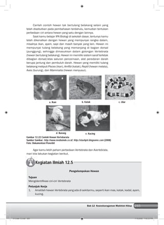 265Bab 12 Keanekaragaman Makhluk Hidup 265
Carilah contoh hewan tak bertulang belakang selain yang
telah disebutkan pada pembahasan terdahulu, kemudian tentukan
perbedaan ciri antara hewan yang satu dengan lainnya.
Saat kamu belajar IPA Biologi di sekolah dasar, tentunya kamu
telah dikenalkan dengan hewan yang mempunyai rangka dalam,
misalnya ikan, ayam, sapi dan masih banyak yang lain. Hewan ini
mempunyai tulang belakang yang memanjang di bagian dorsal
(punggung), sehingga dimasukkan dalam golongan Vertebrata
(hewan bertulang belakang). Hewan ini memiliki sistem saraf terletak
dibagian dorsal/atas saluran pencernaan, alat peredaran darah
berupa jantung dan pembuluh darah. Hewan yang memiliki tulang
belakang meliputi Pisces (ikan), Amﬁbi (katak), Reptil (hewan melata),
Aves (burung), dan Mammalia (hewan menyusui).
a. Ikan b. Katak
d. Burung
c. Ular
e. Kucing
Agar kamu lebih paham perbedaan Vertebrata dan Avertebrata,
mari kita lakukan kegiatan berikut.
Gambar 12.22 Contoh Hewan Vertebarata
Sumber Gambar: http://www.mediaindo.co.id; http://slashptr.blogsome.com (2008)
Foto: Dokumentasi Penerbit
Kegiatan Ilmiah 12.5
Pengelompokan Hewan
Tujuan
Mengidentiﬁkasi ciri-ciri Vertebrata
Petunjuk Kerja
1. Amatilah hewan Vertebrata yang ada di sekitarmu, seperti ikan mas, katak, kadal, ayam,
kucing.
013 bab 12.indd 265 7/18/2008 7:42:33 PM
 