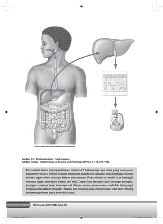 272 IPA Terpadu SMP/MTs Kelas VII272
Pernahkah kamu memperhatikan tubuhmu? Sebenarnya apa saja yang menyusun
tubuhmu? Seperti halnya sebuah organisasi, tubuh kita tersusun atas berbagai macam
sistem organ salah satunya sistem pencernaan. Pada sistem ini terdiri atas berbagai
macam organ penyusun antara lain hati. Organ hati tersusun dari berbagai jaringan,
jaringan tersusun atas beberapa sel. Selain sistem pencernaan, makhluk hidup juga
tersusun atas sistem yang lain. Melalui bab ini kamu akan mempelajari lebih jauh tentang
sistem organisme pada makhluk hidup.
Gambar 13.1 Organisasi dalam Tubuh manusia
Sumber Gambar: Fundamentals of Anatomy and Physiology (1995: 67, 118, 879, 910)
Catatan: gambar tidak mencerminkan ukuran sebenarnya.
014 bab 13.indd 272 7/18/2008 7:44:28 PM
 