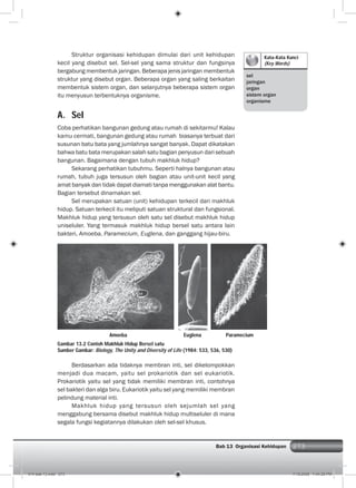 273Bab 13 Organisasi Kehidupan 273
Kata-Kata Kunci
(Key Words)
sel
jaringan
organ
sistem organ
organisme
Struktur organisasi kehidupan dimulai dari unit kehidupan
kecil yang disebut sel. Sel-sel yang sama struktur dan fungsinya
bergabung membentuk jaringan. Beberapa jenis jaringan membentuk
struktur yang disebut organ. Beberapa organ yang saling berkaitan
membentuk sistem organ, dan selanjutnya beberapa sistem organ
itu menyusun terbentuknya organisme.
A. Sel
Coba perhatikan bangunan gedung atau rumah di sekitarmu! Kalau
kamu cermati, bangunan gedung atau rumah biasanya terbuat dari
susunan batu bata yang jumlahnya sangat banyak. Dapat dikatakan
bahwa batu bata merupakan salah satu bagian penyusun dari sebuah
bangunan. Bagaimana dengan tubuh makhluk hidup?
Sekarang perhatikan tubuhmu. Seperti halnya bangunan atau
rumah, tubuh juga tersusun oleh bagian atau unit-unit kecil yang
amat banyak dan tidak dapat diamati tanpa menggunakan alat bantu.
Bagian tersebut dinamakan sel.
Sel merupakan satuan (unit) kehidupan terkecil dari makhluk
hidup. Satuan terkecil itu meliputi satuan struktural dan fungsional.
Makhluk hidup yang tersusun oleh satu sel disebut makhluk hidup
uniseluler. Yang termasuk makhluk hidup bersel satu antara lain
bakteri, Amoeba, Paramecium, Euglena, dan ganggang hijau-biru.
Gambar 13.2 Contoh Makhluk Hidup Bersel satu
Sumber Gambar: Biology, The Unity and Diversity of Life (1984: 533, 536, 530)
Berdasarkan ada tidaknya membran inti, sel dikelompokkan
menjadi dua macam, yaitu sel prokariotik dan sel eukariotik.
Prokariotik yaitu sel yang tidak memiliki membran inti, contohnya
sel bakteri dan alga biru. Eukariotik yaitu sel yang memiliki membran
pelindung material inti.
Makhluk hidup yang tersusun oleh sejumlah sel yang
menggabung bersama disebut makhluk hidup multiseluler di mana
segala fungsi kegiatannya dilakukan oleh sel-sel khusus.
Amoeba ParameciumEuglena
014 bab 13.indd 273 7/18/2008 7:44:29 PM
 