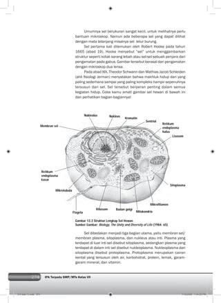 274 IPA Terpadu SMP/MTs Kelas VII274
Umumnya sel berukuran sangat kecil, untuk melihatnya perlu
bantuan mikroskop. Namun ada beberapa sel yang dapat dilihat
dengan mata telanjang misalnya sel telur burung.
Sel pertama kali ditemukan oleh Robert Hooke pada tahun
1665 (abad 19). Hooke menyebut ”sel” untuk menggambarkan
struktur seperti kotak sarang lebah atau sel-sel sebuah penjara dari
pengamatan pada gabus. Gambar tersebut berasal dari pengamatan
dengan mikroskop dua lensa.
Pada abad XIX, Theodor Schwann dan Mathias Jacob Schleiden
(ahli ﬁsiologi Jerman) menyatakan bahwa makhluk hidup dari yang
paling sederhana sampai yang paling kompleks hampir sepenuhnya
tersusun dari sel. Sel tersebut berperan penting dalam semua
kegiatan hidup. Coba kamu amati gambar sel hewan di bawah ini
dan perhatikan bagian-bagiannya!
Gambar 13.3 Struktur Lengkap Sel Hewan
Sumber Gambar: Biology, The Unity and Diversity of Life (1984: 65)
Sel dibedakan menjadi tiga bagian utama, yaitu membran sel/
membran plasma, sitoplasma, dan nukleus atau inti. Plasma yang
terdapat di luar inti sel disebut sitoplasma, sedangkan plasma yang
terdapat di dalam inti sel disebut nukleoplasma. Nukleoplasma dan
sitoplasma disebut protoplasma. Protoplasma merupakan cairan
kental yang tersusun oleh air, karbohidrat, protein, lemak, garam-
garam mineral, dan vitamin.
Membran sel
Mitokondria
Sentriol
Mikrotubula
Ribosom Badan golgi
Retikum
endoplasma
kasar
Nukleus
Kromatin
Nukleolus
Lisosom
Sitoplasma
Flagela
Mikrofilamen
Retikum
endoplasma
halus
014 bab 13.indd 274 7/18/2008 7:44:29 PM
 