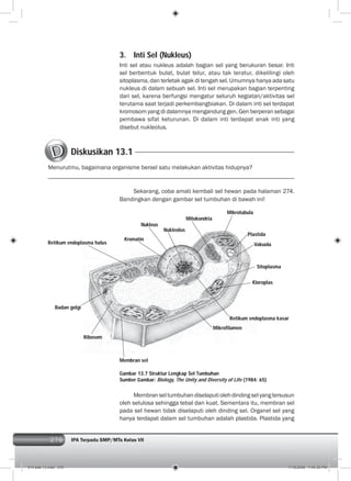 276 IPA Terpadu SMP/MTs Kelas VII276
Sekarang, coba amati kembali sel hewan pada halaman 274.
Bandingkan dengan gambar sel tumbuhan di bawah ini!
3. Inti Sel (Nukleus)
Inti sel atau nukleus adalah bagian sel yang berukuran besar. Inti
sel berbentuk bulat, bulat telur, atau tak teratur, dikelilingi oleh
sitoplasma, dan terletak agak di tengah sel. Umumnya hanya ada satu
nukleus di dalam sebuah sel. Inti sel merupakan bagian terpenting
dari sel, karena berfungsi mengatur seluruh kegiatan/aktivitas sel
terutama saat terjadi perkembangbiakan. Di dalam inti sel terdapat
kromosom yang di dalamnya mengandung gen. Gen berperan sebagai
pembawa sifat keturunan. Di dalam inti terdapat anak inti yang
disebut nukleolus.
Membranseltumbuhandiselaputiolehdindingselyangtersusun
oleh selulosa sehingga tebal dan kuat. Sementara itu, membran sel
pada sel hewan tidak diselaputi oleh dinding sel. Organel sel yang
hanya terdapat dalam sel tumbuhan adalah plastida. Plastida yang
Diskusikan 13.1
Menurutmu, bagaimana organisme bersel satu melakukan aktivitas hidupnya?
Gambar 13.7 Struktur Lengkap Sel Tumbuhan
Sumber Gambar: Biology, The Unity and Diversity of Life (1984: 65)
Kromatin
Kloroplas
Nukleus
Nukleolus
Mikrofilamen
Retikum endoplasma halus
Badan golgi
Vakuola
Mikrotubula
Mitokondria
Ribosom
Membran sel
Retikum endoplasma kasar
Plastida
Sitoplasma
014 bab 13.indd 276 7/18/2008 7:44:30 PM
 