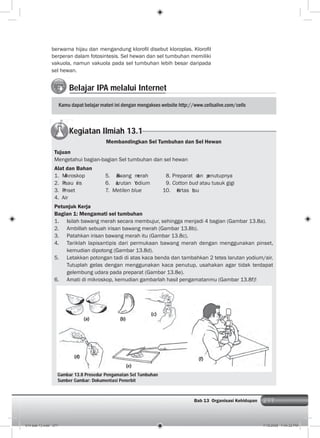 277Bab 13 Organisasi Kehidupan 277
Belajar IPA melalui Internet
Kamu dapat belajar materi ini dengan mengakses website http://www.cellsalive.com/cells
Kegiatan Ilmiah 13.1
berwarna hijau dan mengandung kloroﬁl disebut kloroplas. Kloroﬁl
berperan dalam fotosintesis. Sel hewan dan sel tumbuhan memiliki
vakuola, namun vakuola pada sel tumbuhan lebih besar daripada
sel hewan.
Gambar 13.8 Prosedur Pengamatan Sel Tumbuhan
Sumber Gambar: Dokumentasi Penerbit
Membandingkan Sel Tumbuhan dan Sel Hewan
Tujuan
Mengetahui bagian-bagian Sel tumbuhan dan sel hewan
Alat dan Bahan
1. Mikroskop 5. Bawang merah 8. Preparat dan penutupnya
2. Pisau iris 6. Larutan Yodium 9. Cotton bud atau tusuk gigi
3. Pinset 7. Metilen blue 10. Kertas tisu
4. Air
Petunjuk Kerja
Bagian 1: Mengamati sel tumbuhan
1. Isilah bawang merah secara membujur, sehingga menjadi 4 bagian (Gambar 13.8a).
2. Ambillah sebuah irisan bawang merah (Gambar 13.8b).
3. Patahkan irisan bawang merah itu (Gambar 13.8c).
4. Tariklah lapisantipis dari permukaan bawang merah dengan menggunakan pinset,
kemudian dipotong (Gambar 13.8d).
5. Letakkan potongan tadi di atas kaca benda dan tambahkan 2 tetes larutan yodium/air.
Tutuplah gelas dengan menggunakan kaca penutup, usahakan agar tidak terdapat
gelembung udara pada preparat (Gambar 13.8e).
6. Amati di mikroskop, kemudian gambarlah hasil pengamatanmu (Gambar 13.8f)!
(a) (b)
(c)
(d)
(e)
(f)
014 bab 13.indd 277 7/18/2008 7:44:32 PM
 