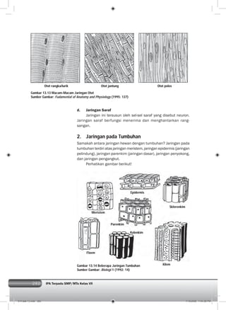 282 IPA Terpadu SMP/MTs Kelas VII282
d. Jaringan Saraf
Jaringan ini tersusun oleh sel-sel saraf yang disebut neuron.
Jaringan saraf berfungsi menerima dan menghantarkan rang-
sangan.
2. Jaringan pada Tumbuhan
Samakah antara jaringan hewan dengan tumbuhan? Jaringan pada
tumbuhan terdiri atas jaringan meristem, jaringan epidermis (jaringan
pelindung), jaringan parenkim (jaringan dasar), jaringan penyokong,
dan jaringan pengangkut.
Perhatikan gambar berikut!
Gambar 13.13 Macam-Macam Jaringan Otot
Sumber Gambar: Fudamental of Anatomy and Physiology (1995: 137)
Gambar 13.14 Beberapa Jaringan Tumbuhan
Sumber Gambar: Biologi 1 (1992: 14)
Epidermis
Meristem
Sklerenkim
Parenkim
Floem
Kolenkim
Xilem
Otot rangka/lurik Otot jantung Otot polos
014 bab 13.indd 282 7/18/2008 7:44:38 PM
 