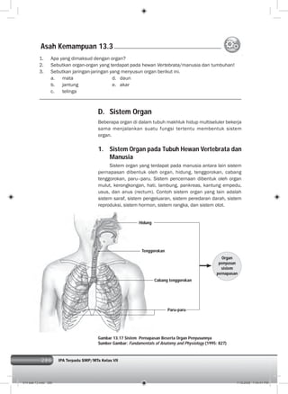 286 IPA Terpadu SMP/MTs Kelas VII286
D. Sistem Organ
Beberapa organ di dalam tubuh makhluk hidup multiseluler bekerja
sama menjalankan suatu fungsi tertentu membentuk sistem
organ.
1. Sistem Organ pada Tubuh Hewan Vertebrata dan
Manusia
Sistem organ yang terdapat pada manusia antara lain sistem
pernapasan dibentuk oleh organ, hidung, tenggorokan, cabang
tenggorokan, paru–paru. Sistem pencernaan dibentuk oleh organ
mulut, kerongkongan, hati, lambung, pankreas, kantung empedu,
usus, dan anus (rectum). Contoh sistem organ yang lain adalah
sistem saraf, sistem pengeluaran, sistem peredaran darah, sistem
reproduksi, sistem hormon, sistem rangka, dan sistem otot.
1. Apa yang dimaksud dengan organ?
2. Sebutkan organ-organ yang terdapat pada hewan Vertebrata/manusia dan tumbuhan!
3. Sebutkan jaringan-jaringan yang menyusun organ berikut ini.
a. mata d. daun
b. jantung e. akar
c. telinga
Gambar 13.17 Sistem Pernapasan Beserta Organ Penyusunnya
Sumber Gambar: Fundamentals of Anatomy and Physiology (1995: 827)
Asah Kemampuan 13.3
Hidung
Tenggorokan
Cabang tenggorokan
Paru-paru
Organ
penyusun
sistem
pernapasan
014 bab 13.indd 286 7/18/2008 7:44:41 PM
 