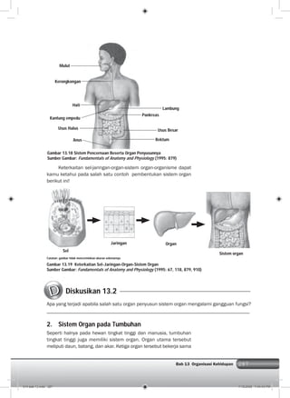 287Bab 13 Organisasi Kehidupan 287
Keterkaitan sel-jaringan-organ-sistem organ-organisme dapat
kamu ketahui pada salah satu contoh pembentukan sistem organ
berikut ini!
Gambar 13.18 Sistem Pencernaan Beserta Organ Penyusunnya
Sumber Gambar: Fundamentals of Anatomy and Physiology (1995: 879)
Gambar 13.19 Keterkaitan Sel-Jaringan-Organ-Sistem Organ
Sumber Gambar: Fundamentals of Anatomy and Physiology (1995: 67, 118, 879, 910)
Diskusikan 13.2
Apa yang terjadi apabila salah satu organ penyusun sistem organ mengalami gangguan fungsi?
2. Sistem Organ pada Tumbuhan
Seperti halnya pada hewan tingkat tinggi dan manusia, tumbuhan
tingkat tinggi juga memiliki sistem organ. Organ utama tersebut
meliputi daun, batang, dan akar. Ketiga organ tersebut bekerja sama
Lambung
Pankreas
Usus Besar
Rektum
Mulut
Kerongkongan
Hati
Kantung empedu
Usus Halus
Anus
Sel
Jaringan Organ
Sistem organ
Catatan: gambar tidak mencerminkan ukuran sebenarnya
014 bab 13.indd 287 7/18/2008 7:44:43 PM
 