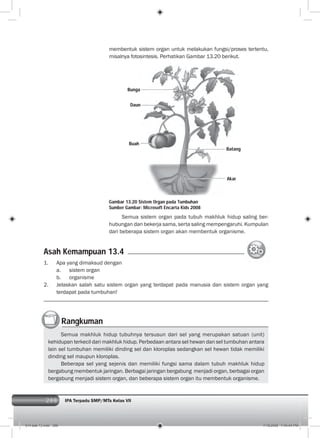 288 IPA Terpadu SMP/MTs Kelas VII288
membentuk sistem organ untuk melakukan fungsi/proses tertentu,
misalnya fotosintesis. Perhatikan Gambar 13.20 berikut.
Semua sistem organ pada tubuh makhluk hidup saling ber-
hubungan dan bekerja sama, serta saling mempengaruhi. Kumpulan
dari beberapa sistem organ akan membentuk organisme.
Gambar 13.20 Sistem Organ pada Tumbuhan
Sumber Gambar: Microsoft Encarta Kids 2008
1. Apa yang dimaksud dengan
a. sistem organ
b. organisme
2. Jelaskan salah satu sistem organ yang terdapat pada manusia dan sistem organ yang
terdapat pada tumbuhan!
Rangkuman
Semua makhluk hidup tubuhnya tersusun dari sel yang merupakan satuan (unit)
kehidupan terkecil dari makhluk hidup. Perbedaan antara sel hewan dan sel tumbuhan antara
lain sel tumbuhan memiliki dinding sel dan kloroplas sedangkan sel hewan tidak memiliki
dinding sel maupun kloroplas.
Beberapa sel yang sejenis dan memiliki fungsi sama dalam tubuh makhluk hidup
bergabung membentuk jaringan. Berbagai jaringan bergabung menjadi organ, berbagai organ
bergabung menjadi sistem organ, dan beberapa sistem organ itu membentuk organisme.
Asah Kemampuan 13.4
Bunga
Daun
Buah
Batang
Akar
014 bab 13.indd 288 7/18/2008 7:44:44 PM
 
