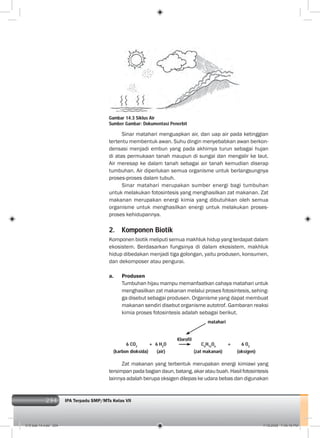 294 IPA Terpadu SMP/MTs Kelas VII294
Sinar matahari menguapkan air, dan uap air pada ketinggian
tertentu membentuk awan. Suhu dingin menyebabkan awan berkon-
densasi menjadi embun yang pada akhirnya turun sebagai hujan
di atas permukaan tanah maupun di sungai dan mengalir ke laut.
Air meresap ke dalam tanah sebagai air tanah kemudian diserap
tumbuhan. Air diperlukan semua organisme untuk berlangsungnya
proses-proses dalam tubuh.
Sinar matahari merupakan sumber energi bagi tumbuhan
untuk melakukan fotosintesis yang menghasilkan zat makanan. Zat
makanan merupakan energi kimia yang dibutuhkan oleh semua
organisme untuk menghasilkan energi untuk melakukan proses-
proses kehidupannya.
2. Komponen Biotik
Komponen biotik meliputi semua makhluk hidup yang terdapat dalam
ekosistem. Berdasarkan fungsinya di dalam ekosistem, makhluk
hidup dibedakan menjadi tiga golongan, yaitu produsen, konsumen,
dan dekomposer atau pengurai.
a. Produsen
Tumbuhan hijau mampu memanfaatkan cahaya matahari untuk
menghasilkan zat makanan melalui proses fotosintesis, sehing-
ga disebut sebagai produsen. Organisme yang dapat membuat
makanan sendiri disebut organisme autotrof. Gambaran reaksi
kimia proses fotosintesis adalah sebagai berikut.
Gambar 14.3 Siklus Air
Sumber Gambar: Dokumentasi Penerbit
6 CO2
+ 6 H2
O C6
H12
O6
+ 6 O2
(karbon dioksida) (air) (zat makanan) (oksigen)
Klorofil
matahari
Zat makanan yang terbentuk merupakan energi kimiawi yang
tersimpan pada bagian daun, batang, akar atau buah. Hasil fotosintesis
lainnya adalah berupa oksigen dilepas ke udara bebas dan digunakan
015 bab 14.indd 294 7/18/2008 7:49:16 PM
 