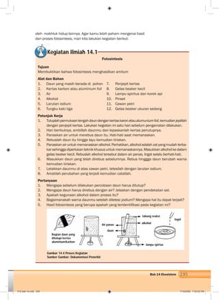 295Bab 14 Ekosistem
oleh makhluk hidup lainnya. Agar kamu lebih paham mengenai hasil
dari proses fotosintesis, mari kita lakukan kegiatan berikut.
Kegiatan Ilmiah 14.1
Fotosintesis
Tujuan
Membuktikan bahwa fotosintesis menghasilkan amilum
Alat dan Bahan
1. Daun yang masih berada di pohon 7. Penjepit kertas
2. Kertas karbon atau aluminium foil 8. Gelas beaker kecil
3. Air 9. Lampu spiritus dan korek api
4. Alkohol 10. Pinset
5. Larutan iodium 11. Cawan petri
6. Tungku kaki tiga 12. Gelas beaker ukuran sedang
Petunjuk Kerja
1. Tutuplahpermukaantengahdaundengankertaskaronataualumuniumfoil,kemudianjepitlah
dengan penjepit kertas. Lakukan kegiatan ini satu hari sebelum pengamatan dilakukan.
2. Hari berikutnya, ambillah daunmu dan lepaskanlah kertas penutupnya.
3. Panaskan air untuk merebus daun itu. Hati-hati saat memanaskan.
4. Rebuslah daun itu hingga layu kemudian tiriskan.
5. Panaskanairuntukmemanaskanalkohol.Perhatikan,alkoholadalahzatyangmudahterba-
karsehinggadiperlukanteknikkhususuntukmemanaskannya.Masukkanalkoholkedalam
gelas beaker kecil. Rebuslah alkohol tersebut dalam air panas. Ingat selalu berhati-hati.
6. Masukkan daun yang telah direbus sebelumnya. Rebus hinggga daun berubah warna
kemudian tiriskan.
7. Letakkan daunmu di atas cawan petri, tetesilah dengan larutan iodium.
8. Amatilah perubahan yang terjadi kemudian catatlah.
Pertanyaan
1. Mengapa sebelum dilakukan percobaan daun harus ditutup?
2. Mengapa daun harus direbus dengan air? Jelaskan dengan pendekatan sel.
3. Apakah kegunaan alkohol dalam proses itu?
4. Bagaimanakah warna daunmu setelah ditetesi yodium? Mengapa hal itu dapat terjadi?
5. Hasil fotosintesis yang berupa apakah yang teridentiﬁkasi pada kegiatan ini?
Gambar 14.4 Proses Kegiatan
Sumber Gambar: Dokumentasi Penerbit
Bagian daun yang
ditutupi kertas
aluminium/karbon
Air panas
daun
lugol
tabung reaksi
alkohol
lampu spirtus
015 bab 14.indd 295 7/18/2008 7:49:20 PM
 