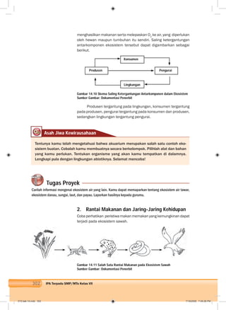302 IPA Terpadu SMP/MTs Kelas VII
menghasilkan makanan serta melepaskan O2
ke air, yang diperlukan
oleh hewan maupun tumbuhan itu sendiri. Saling ketergantungan
antarkomponen ekosistem tersebut dapat digambarkan sebagai
berikut.
Konsumen
Lingkungan
Produsen Pengurai
Produsen tergantung pada lingkungan, konsumen tergantung
pada produsen, pengurai tergantung pada konsumen dan produsen,
sedangkan lingkungan tergantung pengurai.
Gambar 14.10 Skema Saling Ketergantungan Antarkomponen dalam Ekosistem
Sumber Gambar: Dokumentasi Penerbit
Asah Jiwa Kewirausahaan
Tentunya kamu telah mengetahuai bahwa akuarium merupakan salah satu contoh eko-
sistem buatan. Cobalah kamu membuatnya secara berkelompok. Pilihlah alat dan bahan
yang kamu perlukan. Tentukan organisme yang akan kamu tempatkan di dalamnya.
Lengkapi pula dengan lingkungan abiotiknya. Selamat mencoba!
Tugas Proyek
Carilah informasi mengenai ekosistem air yang lain. Kamu dapat memaparkan tentang ekosistem air tawar,
ekosistem danau, sungai, laut, dan payau. Laporkan hasilnya kepada gurumu.
2. Rantai Makanan dan Jaring-Jaring Kehidupan
Coba perhatikan peristiwa makan memakan yang kemungkinan dapat
terjadi pada ekosistem sawah.
Gambar 14.11 Salah Satu Rantai Makanan pada Ekosistem Sawah
Sumber Gambar: Dokumentasi Penerbit
015 bab 14.indd 302 7/18/2008 7:49:28 PM
 
