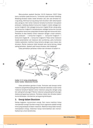 303Bab 14 Ekosistem
Menunjukkan apakah Gambar 14.10 (halaman 310)? Coba
kamu ceritakan pada temanmu. Tumbuhan padi dimakan belalang.
Belalang dimakan katak, katak dimakan ular, dan ular dimakan bu-
rung elang. Akhirnya burung elang mati diuraikan oleh dekomposer
atau pengurai. Dari rantai makanan tersebut tumbuhan merupakan
produsen, belalang disebut konsumen tingkat I, katak sebagai kon-
sumen tingkat II. Ular sebagai konsumen tingkat III dan elang seba-
gai konsumen tingkat IV, berkedudukan sebagai konsumen puncak
(merupakan konsumen yang tidak dimakan lagi oleh konsumen lain).
Peristiwa di atas disebut rantai makanan dengan urutan tertentu,
yaitu produsen → konsumen tingkat I → konsumen tingkat II →
konsumen tingkat III → konsumen tingkat IV. Pada rantai makanan
terjadi perpindahan zat makanan dari sumbernya, yaitu tumbuhan
melalui sederetan makhluk hidup tertentu dengan cara makan dan
dimakan. Rantai makanan tidak terpisah satu sama lainnya, tetapi
saling berkaitan. Apakah padi hanya dimakan oleh belalang?
Coba perhatikan peristiwa makan dan dimakan di bawah ini.
Coba perhatikan gambar di atas. Tentukan ada berapa rantai
makananyangterlihatpadagambardiatasdansebutkanurutanrantai
makanan tersebut! Apakah rantai makanan yang satu dengan yang
lain saling berhubungan? Rantai makanan yang saling berhubungan
disebut jaring-jaring makanan. Peristiwa makan dan dimakan dalam
dunia kehidupan membentuk jaring-jaring kehidupan.
3. Energi dalam Ekosistem
Setiap kegiatan memerlukan energi. Dari mana makhluk hidup
memperoleh energi? Sumber energi untuk organisme adalah energi
kimia yang terdapat di dalam makanan. Makhluk hidup tidak mampu
menciptakan energi, melainkan hanya memindahkan dan meman-
faatkannya untuk beraktivitas.
Gambar 14.12 Jaring-Jaring Makanan
Sumber Gambar: Dokumentasi Penerbit
015 bab 14.indd 303 7/18/2008 7:49:30 PM
 