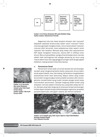 314 IPA Terpadu SMP/MTs Kelas VII314
Bagaimana bila ikan besar tersebut dimakan oleh manusia?
Dapatkah pestisida terakumulasi dalam tubuh manusia? Tubuh
manusia juga dapat mengakumulasi, namun karena bahan makanan
manusia lebih bervariasi maka pelipatannya tidak seperti rantai
makanan ikan tersebut. Manusia yang makan ikan yang tercemar
DDT dapat mengalami keracunan, karena DDT ini sifatnya sukar
terurai. Menurut penyelidikan, pengaruhnya terhadap tubuh manusia
adalah tidak berfungsinya hati sebagai penyaring zat racun yang
masuk dalam tubuh dan juga gangguan jaringan saraf dengan gejala
kelelahan, kejang sampai timbul kelumpuhan.
c. Pencemaran Tanah
Pencemaran tanah pada umumnya berasal dari pembuangan
sampah yang mengandung bahan-bahan yang sukar terurai dalam
tanah seperti plastik, kaca, dan kaleng. Hal tersebut mengakibatkan
produktivitas tanah akan berkurang. Adapun bahan yang mudah
terurai lebih menguntungkan karena setelah diuraikan oleh mikroor-
ganisme menjadi bahan yang mudah menyatu dengan tanah tanpa
menimbulkan pencemaran. Dampak langsung akibat limbah yang
dirasakan manusia adalah timbulnya bau yang tidak sedap dan ko-
tor. Dampak yang tidak langsung di antaranya tempat pembuangan
limbah dapat menjadi tempat berkembangnya organisme penyebab
penyakit seperti pes, kaki gajah, malaria, dan demam berdarah.
Gambar 14.23 Incenator,
Alat untuk Membakar
Sampah yang Tidak Dapat
di Daur Ulang
Sumber Gambar: Microsoft
Encarta 2005
Gambar 14.24 Sampah yang Tidak Segera Diproses dapat Menimbulkan
Berbagai Dampak Negatif
Foto: Dokumen Penerbit
Air
plankton
(kadar DDT
264 kadar
dalam air)
Ikan kecil
herbivora
(kadar DDT
500 kadar
dalam air)
ikan
karnivora
(kadar DDT
140.000
kadar dalam
air)
Gambar 14.22 Skema Akumulasi DDT pada Makhluk Hidup
Sumber Gambar: Dokumentasi Penerbit
015 bab 14.indd 314 7/18/2008 7:49:36 PM
 