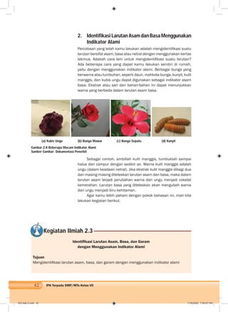 42 IPA Terpadu SMP/MTs Kelas VII
2. Identifikasi Larutan Asam dan Basa Menggunakan
Indikator Alami
Percobaan yang telah kamu lakukan adalah mengidentiﬁkasi suatu
larutan bersifat asam, basa atau netral dengan menggunakan kertas
lakmus. Adakah cara lain untuk mengidentiﬁkasi suatu larutan?
Ada beberapa cara yang dapat kamu lakukan sendiri di rumah,
yaitu dengan menggunakan indikator alami. Berbagai bunga yang
berwarna atau tumbuhan, seperti daun, mahkota bunga, kunyit, kulit
manggis, dan kubis ungu dapat digunakan sebagai indikator asam
basa. Ekstrak atau sari dari bahan-bahan ini dapat menunjukkan
warna yang berbeda dalam larutan asam basa.
Sebagai contoh, ambillah kulit manggis, tumbuklah sampai
halus dan campur dengan sedikit air. Warna kulit manggis adalah
ungu (dalam keadaan netral). Jika ekstrak kulit manggis dibagi dua
dan masing-masing diteteskan larutan asam dan basa, maka dalam
larutan asam terjadi perubahan warna dari ungu menjadi cokelat
kemerahan. Larutan basa yang diteteskan akan mengubah warna
dari ungu menjadi biru kehitaman.
Agar kamu lebih paham dengan pokok bahasan ini, mari kita
lakukan kegiatan berikut.
Identiﬁkasi Larutan Asam, Basa, dan Garam
dengan Menggunakan Indikator Alami
Tujuan
Mengidentiﬁkasi larutan asam, basa, dan garam dengan menggunakan indikator alami
Kegiatan Ilmiah 2.3
Gambar 2.8 Beberapa Macam Indikator Alami
Sumber Gambar: Dokumentasi Penerbit
(a) Kubis Ungu (b) Bunga Mawar (c) Bunga Sepatu (d) Kunyit
003 bab 2.indd 42 7/18/2008 7:09:07 PM
 