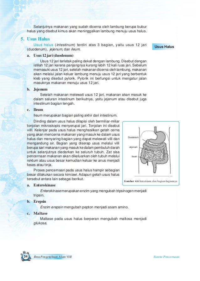 Fungsi Utama Vitamin Adalah Mengatur Proses Metabolisme Safekey