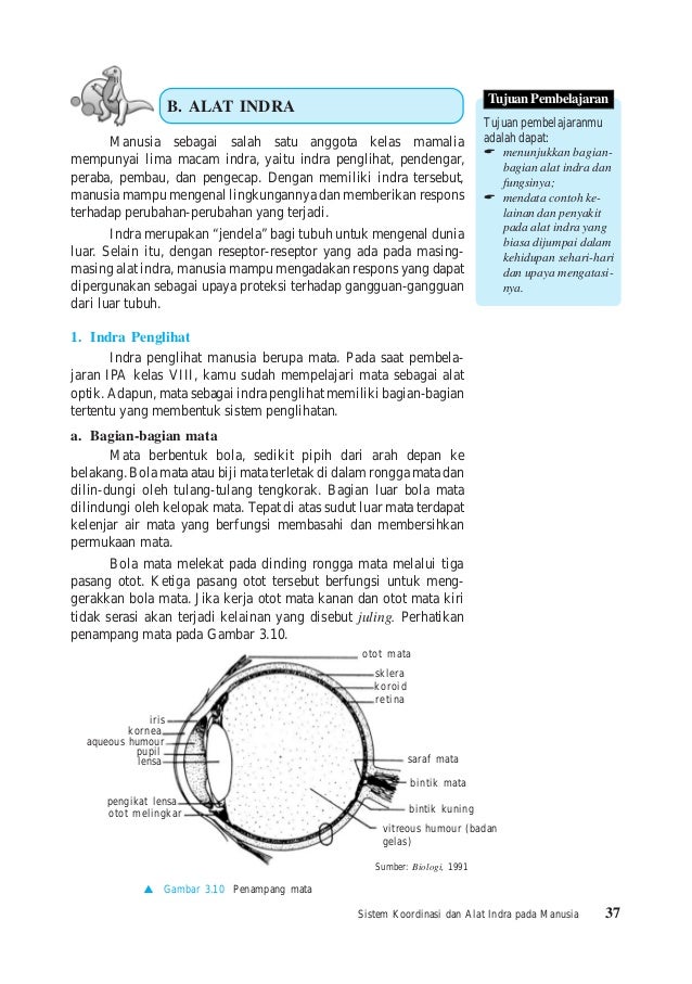 Buku Ipa Kelas 9
