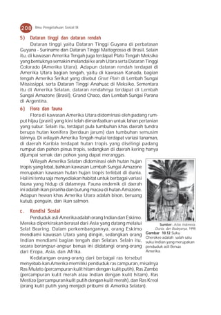 208    Ilmu Pengetahuan Sosial IX


5)    Dataran tinggi dan dataran rendah
      Dataran tinggi yaitu Dataran Tinggi Guyana di perbatasan
Guyana - Suriname dan Dataran Tinggi Mattogrosso di Brasil. Selain
itu, di kawasan Amerika Tengah juga terdapat Plato Tengah Meksiko
yang bentuknya semakin melandai ke arah Utara serta Dataran Tinggi
Colorado (Amerika Utara). Adapun dataran rendah terdapat di
Amerika Utara bagian tengah, yaitu di kawasan Kanada, bagian
tengah Amerika Serikat yang disebut Great Plain di Lembah Sungai
Mississippi, serta Dataran Tinggi Anahuac di Meksiko. Sementara
itu di Amerika Selatan, dataran rendahnya terdapat di Lembah
Sungai Amazone (Brasil), Grand Chaco, dan Lembah Sungai Parana
di Argentina.
6)    Flora dan fauna
      Flora di kawasan Amerika Utara didominasi oleh padang rum-
put hijau (prairi) yang kini telah dimanfaatkan untuk lahan pertanian
yang subur. Selain itu, terdapat pula tumbuhan khas daerah tundra
berupa hutan konifera (berdaun jarum) dan tumbuhan semusim
lainnya. Di wilayah Amerika Tengah mulai terdapat variasi tanaman,
di daerah Karibia terdapat hutan tropis yang diselingi padang
rumput dan pohon pinus tropis, sedangkan di daerah kering hanya
dijumpai semak dan pohon yang dapat meranggas.
      Wilayah Amerika Selatan didominasi oleh hutan hujan
tropis yang lebat, bahkan kawasan Lembah Sungai Amazone
merupakan kawasan hutan hujan tropis terlebat di dunia.
Hal ini tentu saja menyediakan habitat untuk berbagai variasi
fauna yang hidup di dalamnya. Fauna endemik di daerah
ini adalah ikan piranha dan burung macau di hutan Amazone.
Adapun hewan khas Amerika Utara adalah bison, beruang
kutub, penguin, dan ikan salmon.

c.   Kondisi Sosial
     Penduduk asli Amerika adalah orang Indian dan Eskimo.
Mereka diperkirakan berasal dari Asia yang datang melalui            Sumber: Atlas Indonesia,
Selat Bearing. Dalam perkembangannya, orang Eskimo                 Dunia, dan Budayanya, 1998
mendiami kawasan Utara yang dingin, sedangkan orang Gambar 10.12 Suku
                                                              Cherokee adalah salah satu
Indian mendiami bagian tengah dan Selatan. Selain itu, suku Indian yang merupakan
secara berangsur-angsur benua ini didatangi orang-orang penduduk asli Benua
dari Eropa, Asia, dan Afrika.                                 Amerika.
     Kedatangan orang-orang dari berbagai ras tersebut
menyebab-kan Amerika memiliki penduduk ras campuran, misalnya
Ras Mulato (percampuran kulit hitam dengan kulit putih), Ras Zambo
(percampuran kulit merah atau Indian dengan kulit hitam), Ras
Mestizo (percampuran kulit putih dengan kulit merah), dan Ras Kreol
(orang kulit putih yang menjadi pribumi di Amerika Selatan).
 