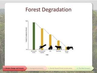 Forest Degradation
 