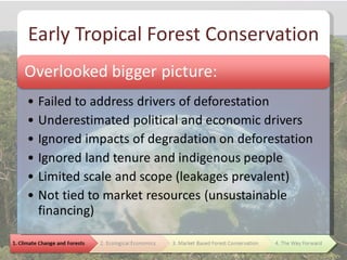 Early Tropical Forest Conservation
 
