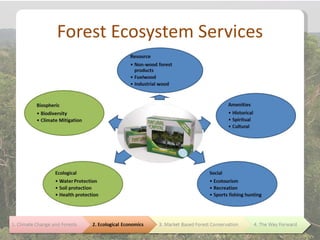 Forest Ecosystem Services
 