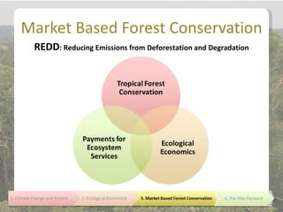 Market Based Forest Conservation
 REDD: Reducing Emissions from Deforestation and Degradation
 