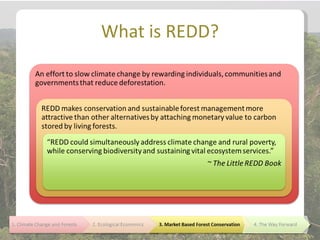 What is REDD?
 
