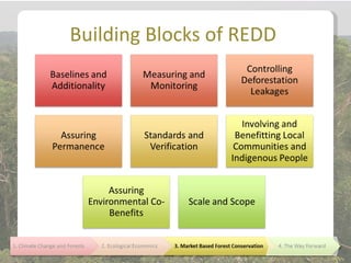 Building Blocks of REDD
 