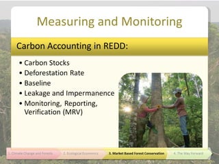 Measuring and Monitoring
 