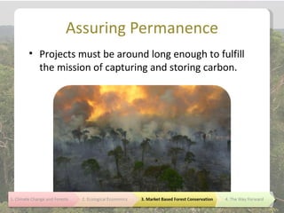 Assuring Permanence
• Projects must be around long enough to fulfill
  the mission of capturing and storing carbon.
 