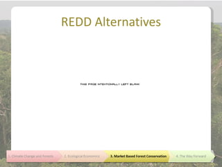 REDD Alternatives
 