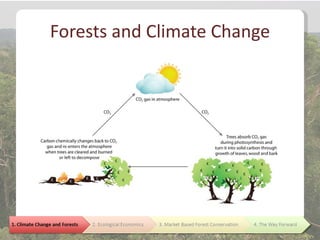 Forests and Climate Change
 