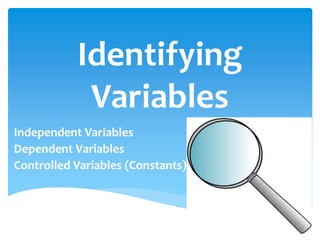 Identifying
Variables
Independent Variables
Dependent Variables
Controlled Variables (Constants)
 