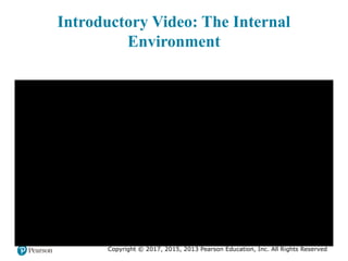 Copyright © 2017, 2015, 2013 Pearson Education, Inc. All Rights Reserved
Introductory Video: The Internal
Environment
 