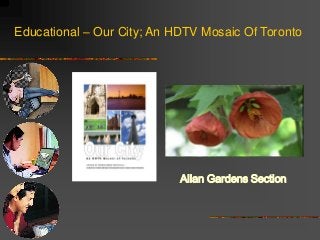 Educational – Our City; An HDTV Mosaic Of Toronto
Allan Gardens Section
 