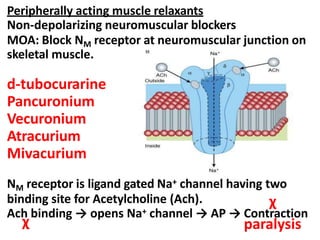 Peripherally acting muscle relaxants
Non-depolarizing neuromuscular blockers
MOA: Block NM receptor at neuromuscular junction on
skeletal muscle.
d-tubocurarine
Pancuronium
Vecuronium
Atracurium
Mivacurium
NM receptor is ligand gated Na+ channel having two
binding site for Acetylcholine (Ach).
Ach binding → opens Na+ channel → AP → Contraction
χ paralysis
χ
 