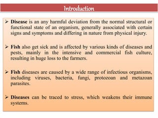 Introduction
 Disease is an any harmful deviation from the normal structural or
functional state of an organism, generally associated with certain
signs and symptoms and differing in nature from physical injury.
 Fish also get sick and is affected by various kinds of diseases and
pests, mainly in the intensive and commercial fish culture,
resulting in huge loss to the farmers.
 Fish diseases are caused by a wide range of infectious organisms,
including viruses, bacteria, fungi, protozoan and metazoan
parasites.
 Diseases can be traced to stress, which weakens their immune
systems.
 