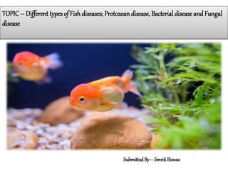 TOPIC– Different types of Fish diseases; Protozoan disease, Bacterial disease and Fungal
disease
SubmittedBy – SmritiBiswas
 