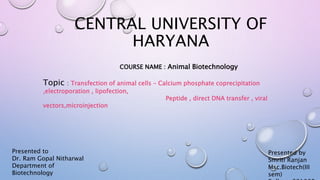 CENTRAL UNIVERSITY OF
HARYANA
COURSE NAME : Animal Biotechnology
Topic : Transfection of animal cells – Calcium phosphate coprecipitation
,electroporation , lipofection,
Peptide , direct DNA transfer , viral
vectors,microinjection
Presented to
Dr. Ram Gopal Nitharwal
Department of
Biotechnology
Presented by
Smriti Ranjan
Msc.Biotech(III
sem)
 