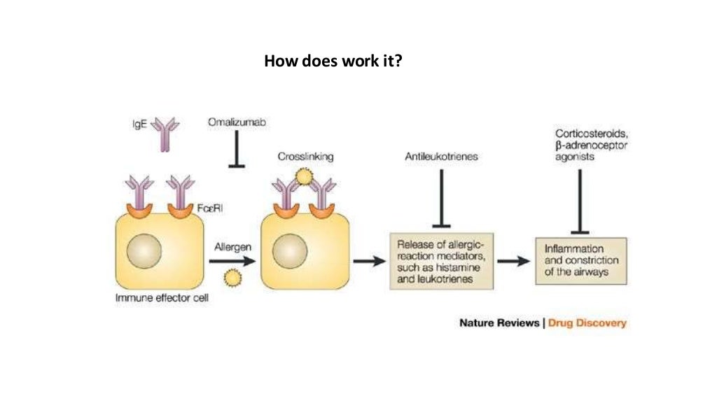Omalizumab