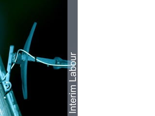 Nieuwe projecten Interim Labour 